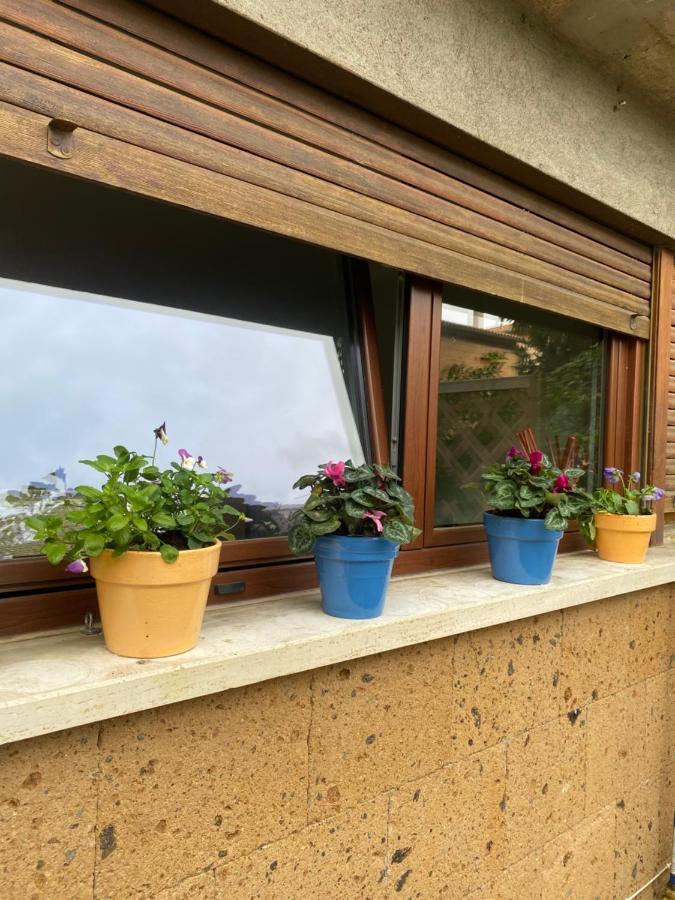 Апартаменти Il Giardinetto Di Elelu' Private Garage Орв'єто Екстер'єр фото